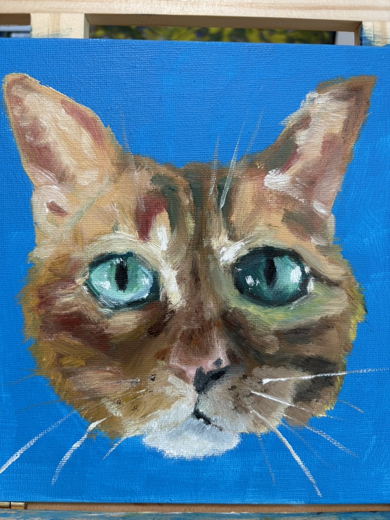 cat1